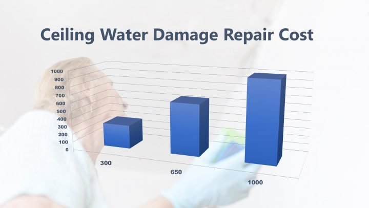 Ceiling Water Damage Repair Cost