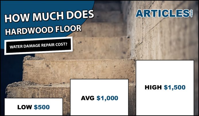 How Much Does Basement Water Damage Repair Cost?