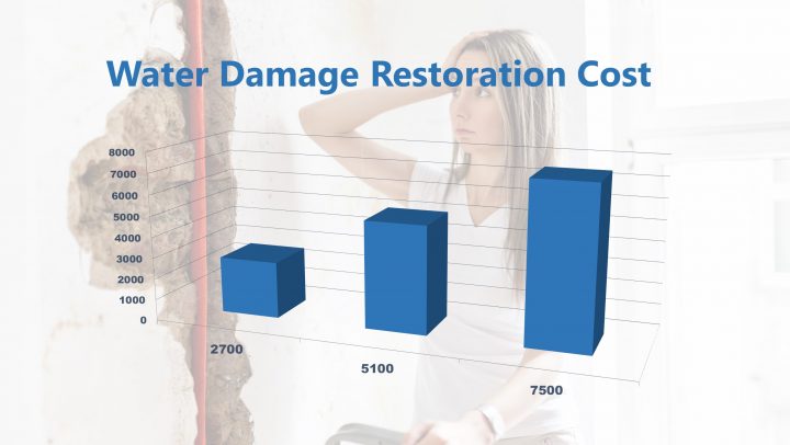 Water Damage Restoration Cost