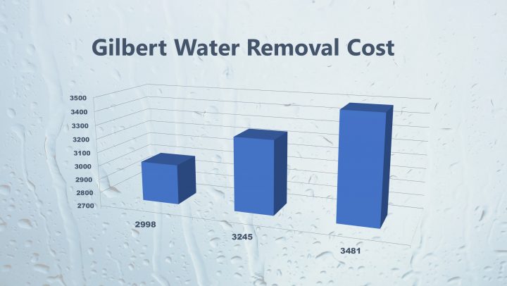 Gilbert Water Removal Cost