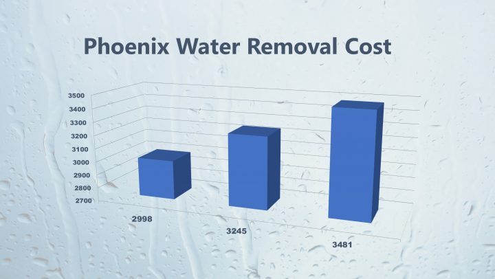 Phoenix Water Removal Cost