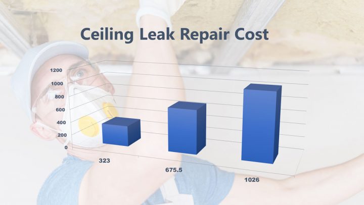Ceiling Leak Repair Cost