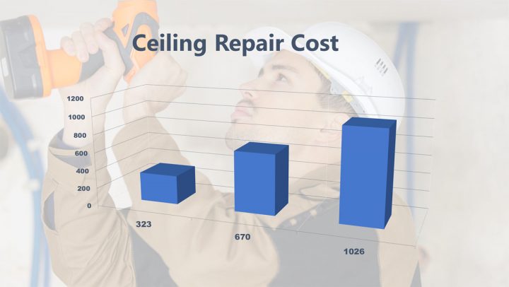 Ceiling Repair Cost